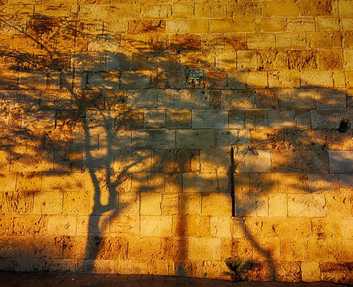 Shadows on wall in Israel